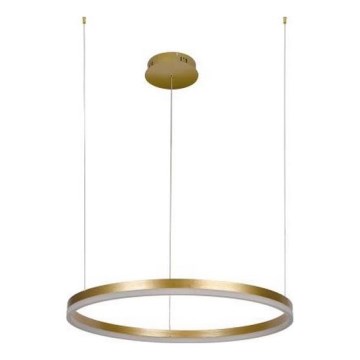 LED Stmívatelný lustr na lanku LED/42W/230V 3000-6500K pr. 60 cm + dálkové ovládání