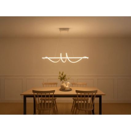 LED Stmívatelný lustr na lanku LED/50W/230V 3000-6500K 100 cm + dálkové ovládání