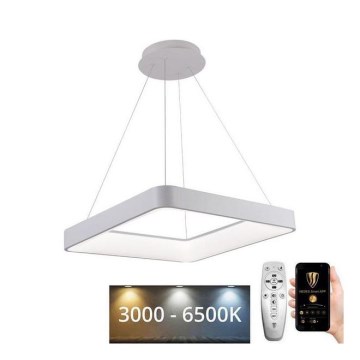 LED Stmívatelný lustr na lanku LED/55W/230V 3000-6500K bílá + dálkové ovládání