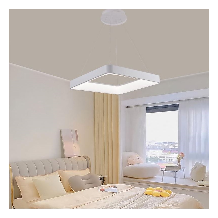 LED Stmívatelný lustr na lanku LED/55W/230V 3000-6500K bílá + dálkové ovládání