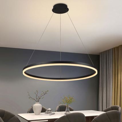 LED Stmívatelný lustr na lanku LED/55W/230V 3000-6500K pr. 80 cm + dálkové ovládání