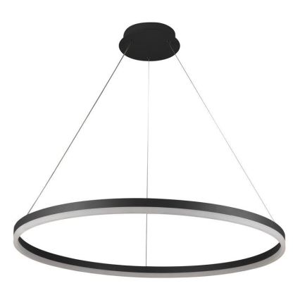 LED Stmívatelný lustr na lanku LED/55W/230V 3000-6500K pr. 80 cm + dálkové ovládání