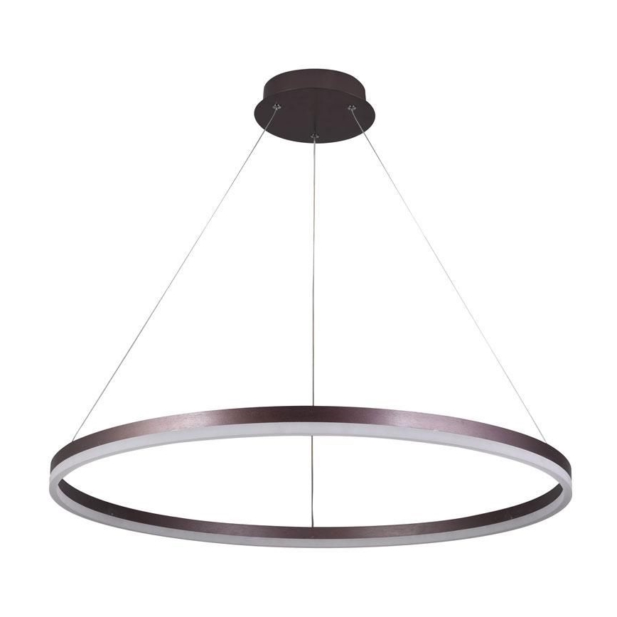 LED Stmívatelný lustr na lanku LED/55W/230V 3000-6500K + dálkové ovládání