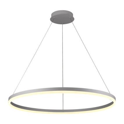 LED Stmívatelný lustr na lanku LED/55W/230V 3000-6500K pr. 80 cm + dálkové ovládání