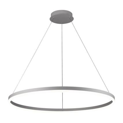 LED Stmívatelný lustr na lanku LED/55W/230V 3000-6500K pr. 80 cm + dálkové ovládání