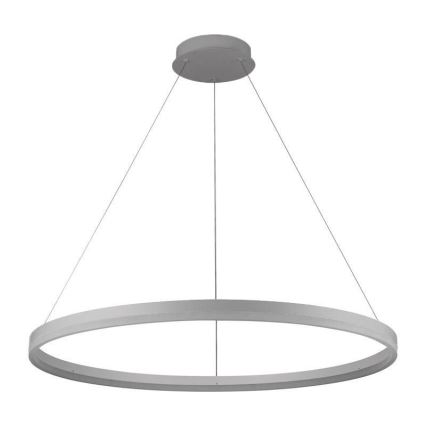 LED Stmívatelný lustr na lanku LED/55W/230V 3000-6500K pr. 80 cm + dálkové ovládání