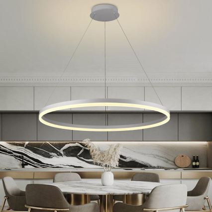 LED Stmívatelný lustr na lanku LED/55W/230V 3000-6500K pr. 80 cm + dálkové ovládání