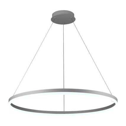 LED Stmívatelný lustr na lanku LED/55W/230V 3000-6500K pr. 80 cm + dálkové ovládání