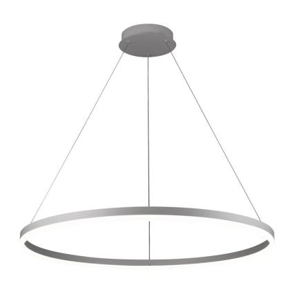 LED Stmívatelný lustr na lanku LED/55W/230V 3000-6500K pr. 80 cm + dálkové ovládání