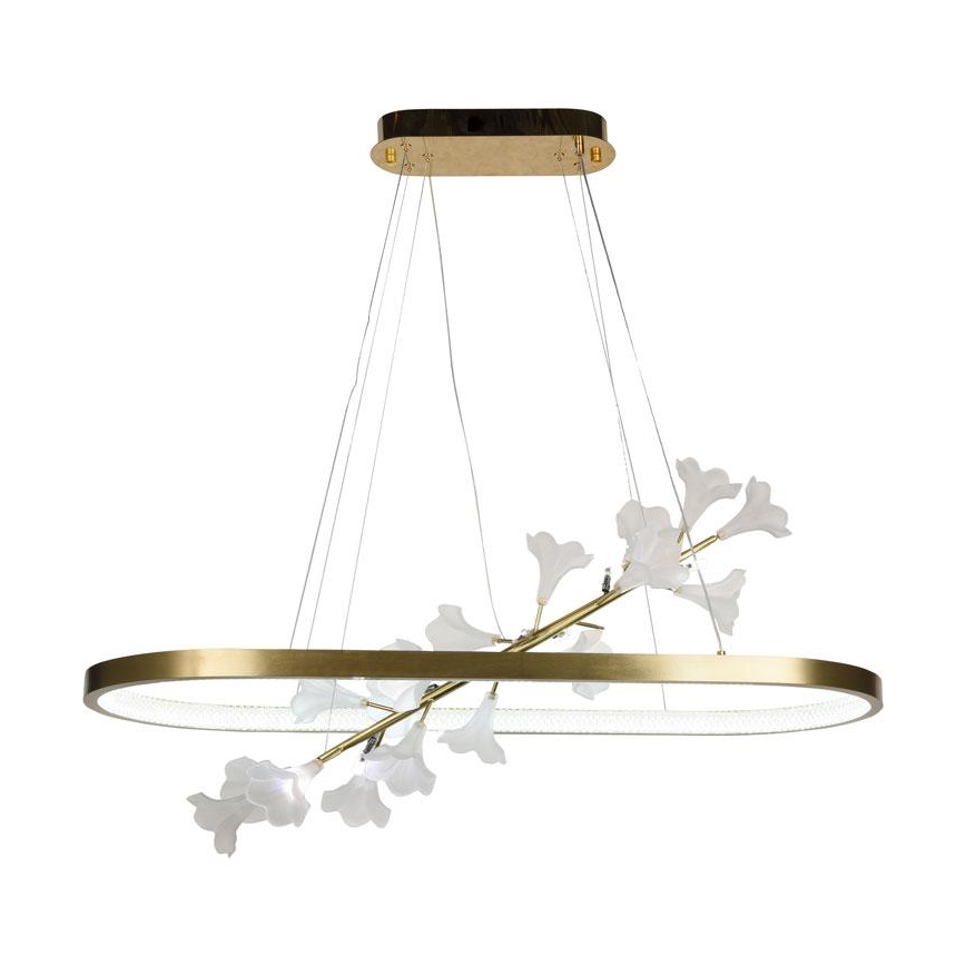 LED Stmívatelný lustr na lanku LED/55W/230V 3000-6500K + dálkové ovládání