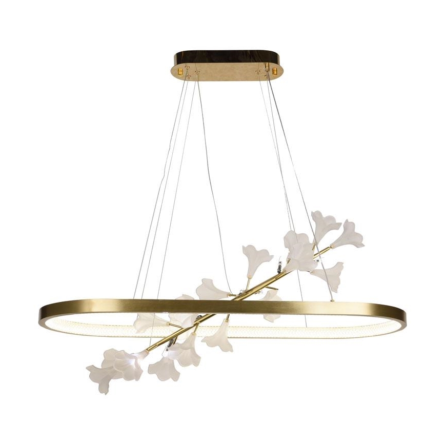 LED Stmívatelný lustr na lanku LED/55W/230V 3000-6500K + dálkové ovládání