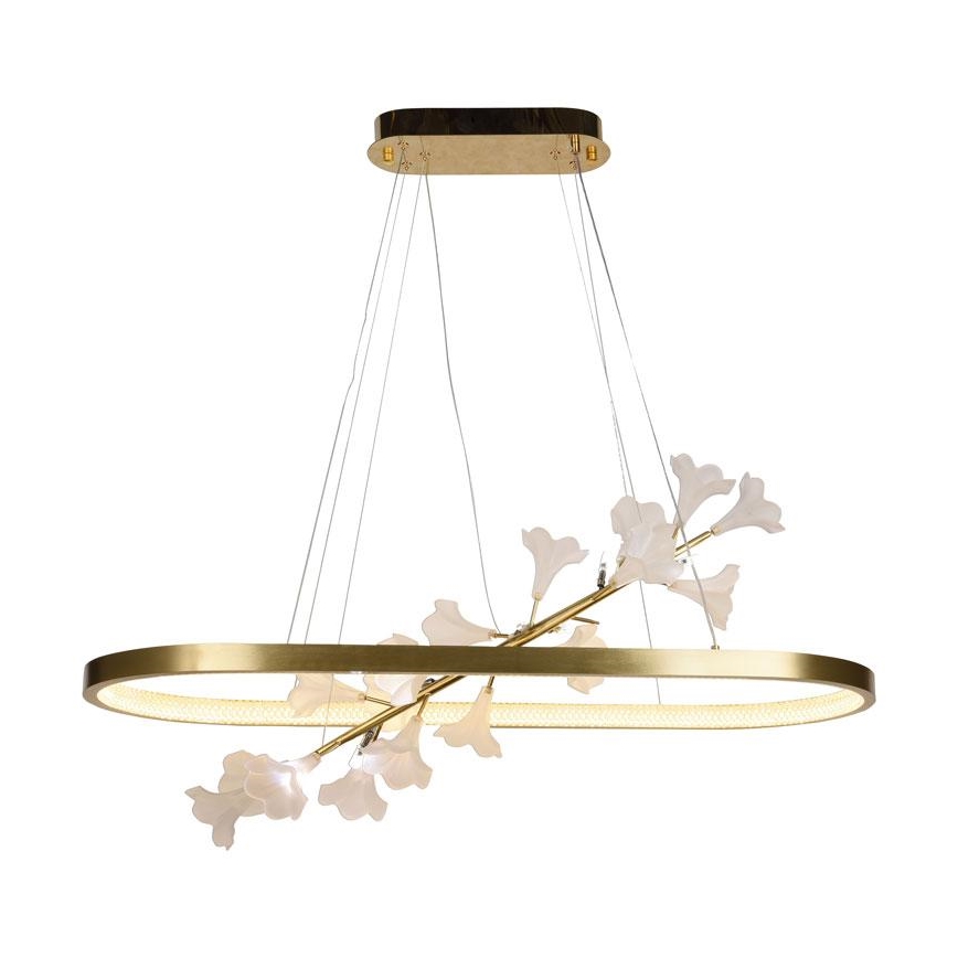 LED Stmívatelný lustr na lanku LED/55W/230V 3000-6500K + dálkové ovládání