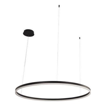 LED Stmívatelný lustr na lanku LED/55W/230V 3000-6500K + dálkové ovládání