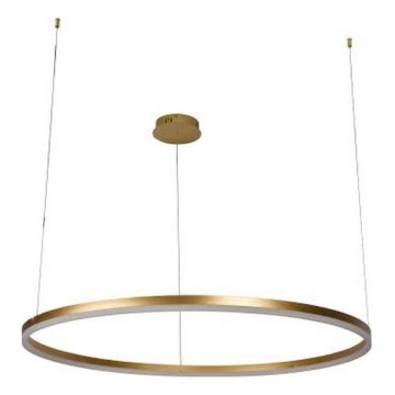 LED Stmívatelný lustr na lanku LED/55W/230V 3000-6500K + dálkové ovládání