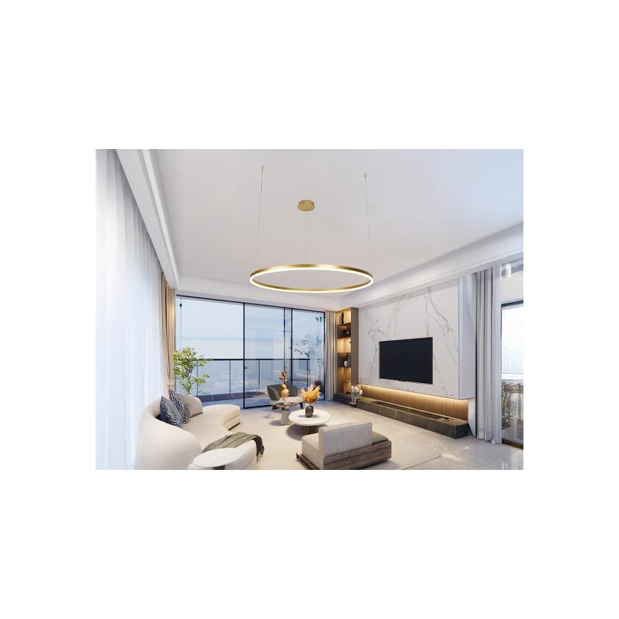 LED Stmívatelný lustr na lanku LED/55W/230V 3000-6500K + dálkové ovládání
