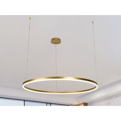 LED Stmívatelný lustr na lanku LED/55W/230V 3000-6500K + dálkové ovládání