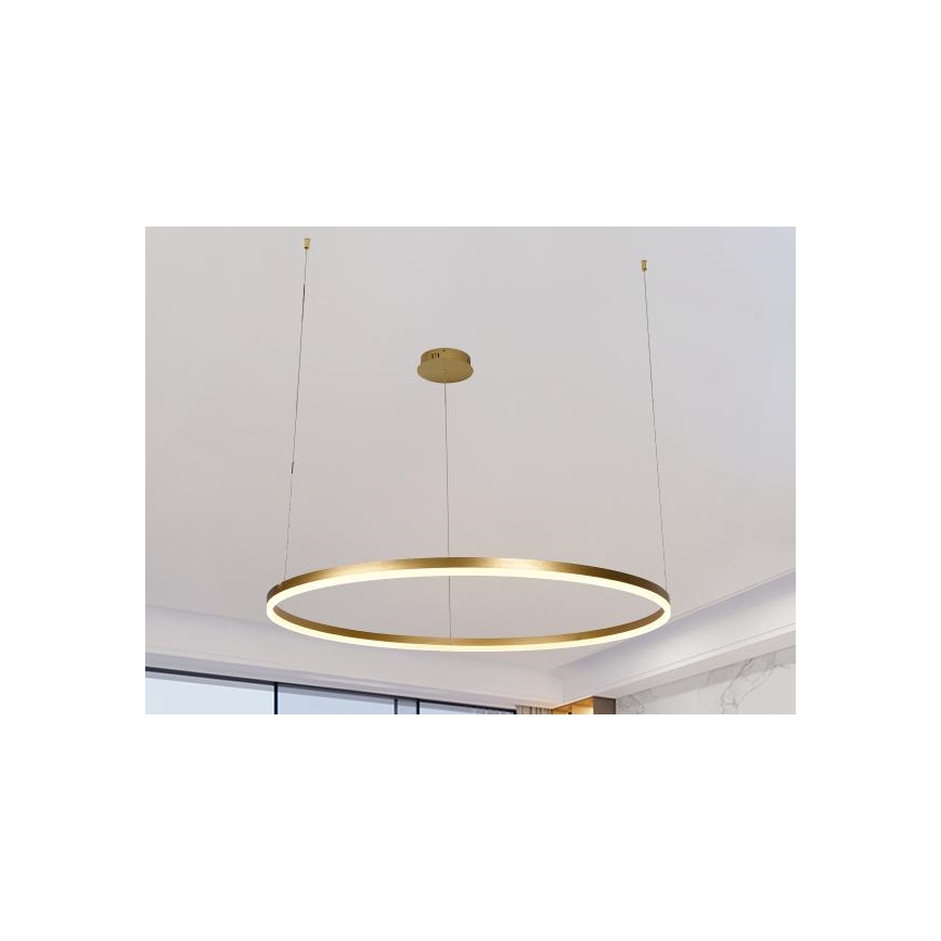 LED Stmívatelný lustr na lanku LED/55W/230V 3000-6500K + dálkové ovládání