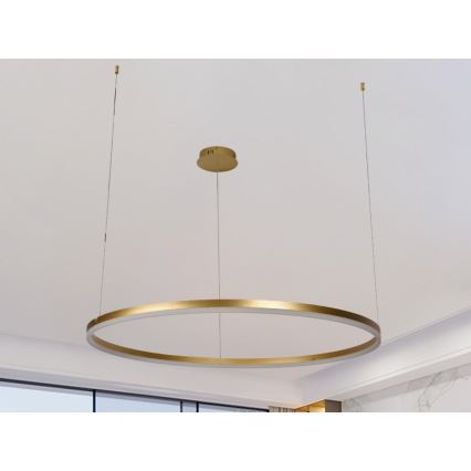 LED Stmívatelný lustr na lanku LED/55W/230V 3000-6500K + dálkové ovládání