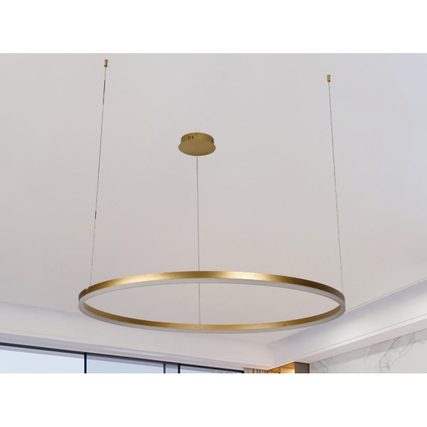 LED Stmívatelný lustr na lanku LED/55W/230V 3000-6500K + dálkové ovládání