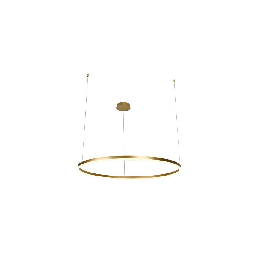 LED Stmívatelný lustr na lanku LED/55W/230V 3000-6500K + dálkové ovládání