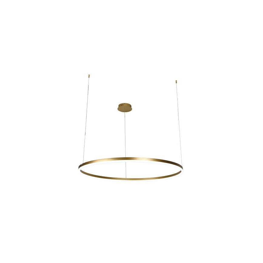 LED Stmívatelný lustr na lanku LED/55W/230V 3000-6500K + dálkové ovládání