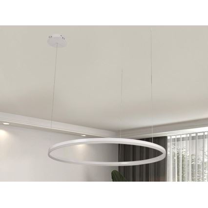LED Stmívatelný lustr na lanku LED/55W/230V 3000-6500K pr. 80 cm + dálkové ovládání