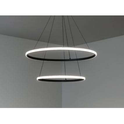 LED Stmívatelný lustr na lanku LED/55W/230V 3000-6500K pr. 60 cm + dálkové ovládání
