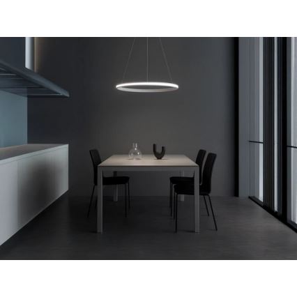 LED Stmívatelný lustr na lanku LED/55W/230V 3000-6500K pr. 60 cm + dálkové ovládání