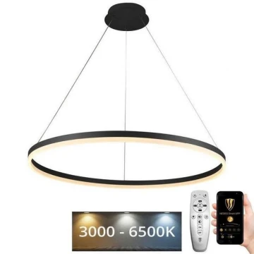 LED Stmívatelný lustr na lanku LED/55W/230V 3000-6500K pr. 80 cm + dálkové ovládání