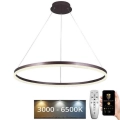 LED Stmívatelný lustr na lanku LED/55W/230V 3000-6500K pr. 80 cm + dálkové ovládání