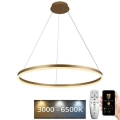 LED Stmívatelný lustr na lanku LED/55W/230V 3000-6500K pr. 80 cm + dálkové ovládání