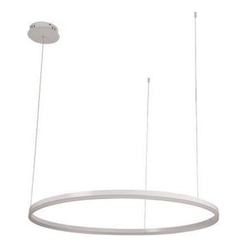 LED Stmívatelný lustr na lanku LED/55W/230V 3000-6500K pr. 80 cm + dálkové ovládání