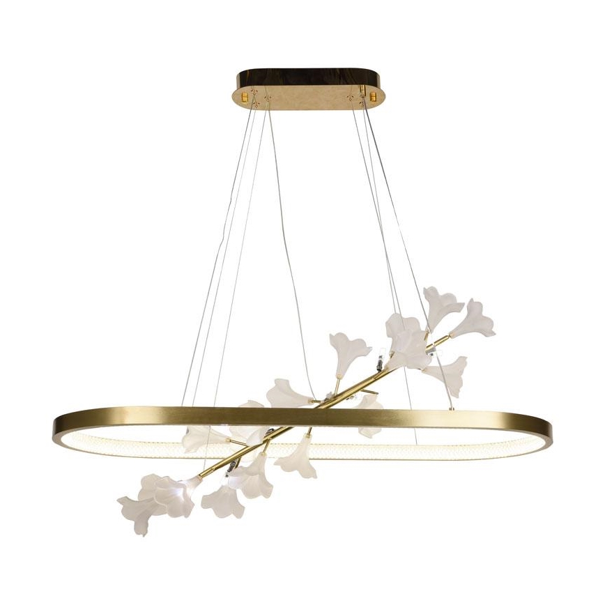 LED Stmívatelný lustr na lanku LED/65W/230V 3000-6500K + dálkové ovládání