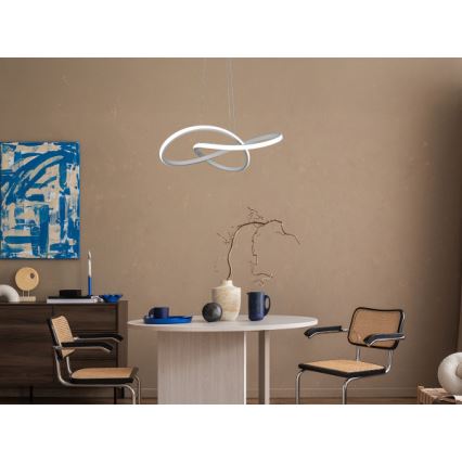 LED Stmívatelný lustr na lanku LED/65W/230V 3000-6500K pr. 49 cm + dálkové ovládání