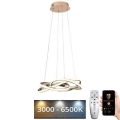 LED Stmívatelný lustr na lanku LED/65W/230V 3000-6500K pr. 48 cm zlatá + dálkové ovládání