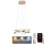 LED Stmívatelný lustr na lanku LED/65W/230V 3000-6500K pr. 48 cm zlatá + dálkové ovládání