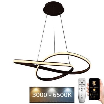 LED Stmívatelný lustr na lanku LED/70W/230V 3000-6500K pr. 60 cm + dálkové ovládání