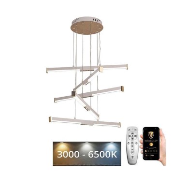 LED Stmívatelný lustr na lanku LED/75W/230V 3000-6500K pr. 60 cm + dálkové ovládání