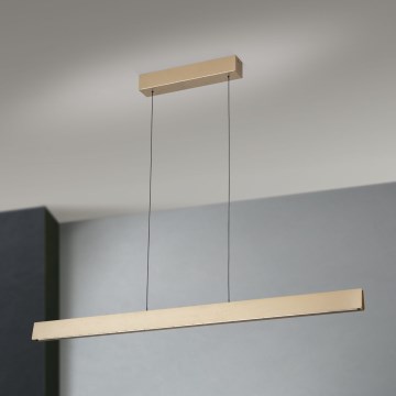 LED Stmívatelný lustr na lanku TARA LED/44W/230V 2700/3800/4500/5700K zlatá