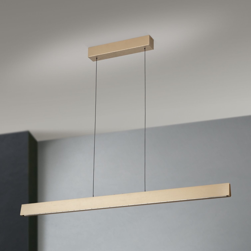 LED Stmívatelný lustr na lanku TARA LED/44W/230V 2700/3800/4500/5700K zlatá