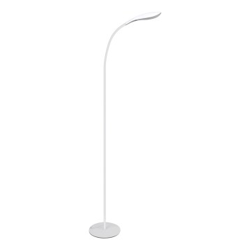 LED Stojací lampa SWAN LED/6,5W/230V bílá