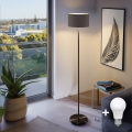 LED Stojací lampa TUNJA 1xE27/20W/230V pr. 30 cm černá/hnědá