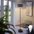 LED Stojací lampa TUNJA 1xE27/20W/230V pr. 30 cm černá/taupe