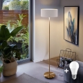 LED Stojací lampa TUNJA 1xE27/20W/230V pr. 38 cm zlatá/bílá