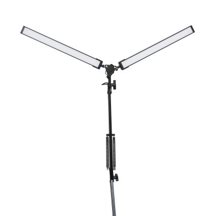 LED Stolní lampa s klipem 2xLED/10W/230V 2800-6800K