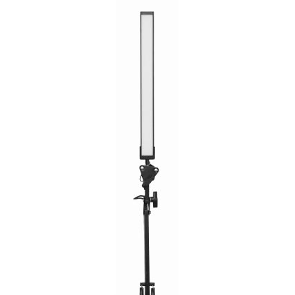 LED Stolní lampa s klipem LED/10W/230V 2800-6800K