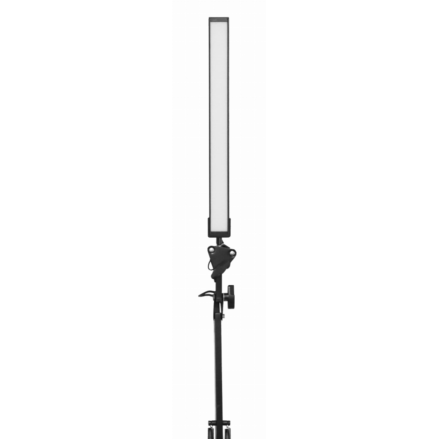 LED Stolní lampa s klipem LED/10W/230V 2800-6800K