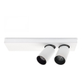 LED Stropní bodové svítidlo BERGEN 2xLED/11W/230V