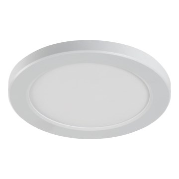 LED Stropní/podhledové svítidlo 2v1 ERGA LED/17W/230V 3000/4000/6500K bílá