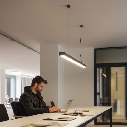 LED Stropní přisazené závěsné svítidlo CYNIDECO LED/12W/230V 4000K černá